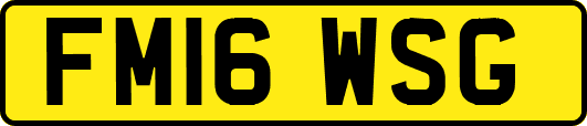 FM16WSG