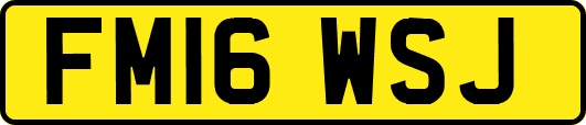 FM16WSJ