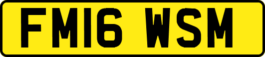 FM16WSM