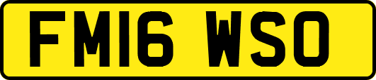 FM16WSO