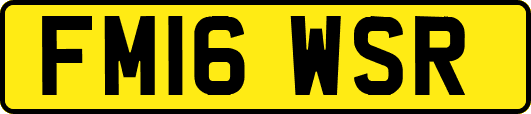 FM16WSR
