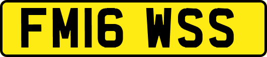 FM16WSS