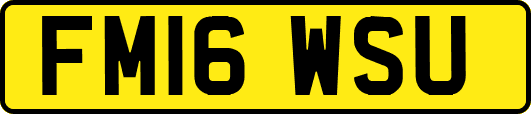 FM16WSU