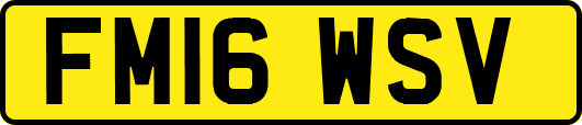 FM16WSV