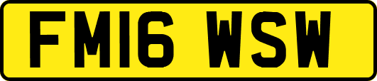 FM16WSW