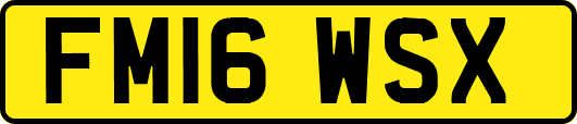 FM16WSX