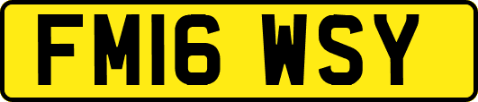 FM16WSY