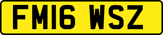 FM16WSZ