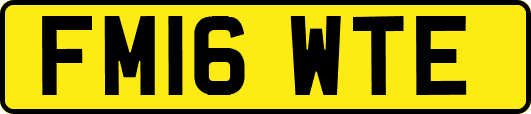 FM16WTE