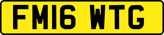 FM16WTG