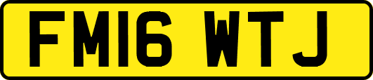 FM16WTJ
