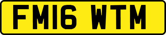 FM16WTM