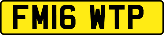 FM16WTP