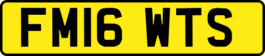 FM16WTS