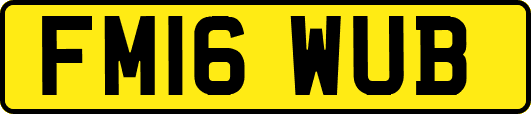 FM16WUB