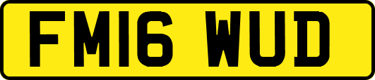 FM16WUD