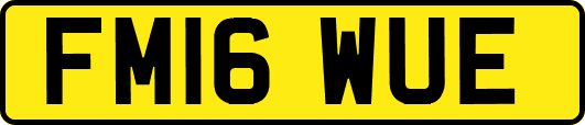 FM16WUE