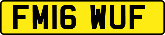 FM16WUF
