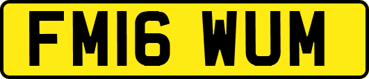 FM16WUM