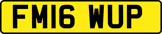 FM16WUP