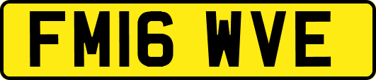 FM16WVE