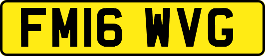 FM16WVG