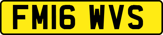 FM16WVS