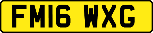 FM16WXG