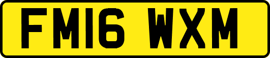 FM16WXM