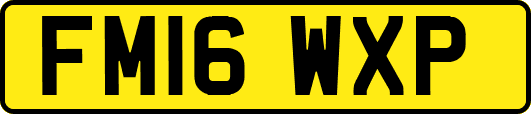 FM16WXP