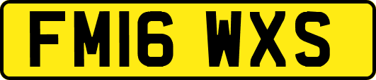 FM16WXS