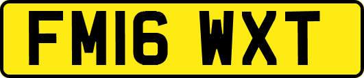 FM16WXT