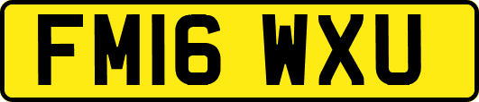 FM16WXU