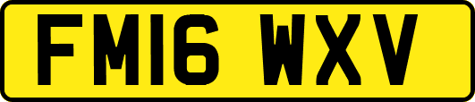 FM16WXV