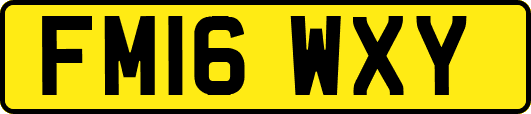 FM16WXY