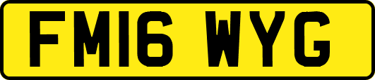 FM16WYG