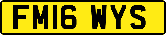 FM16WYS