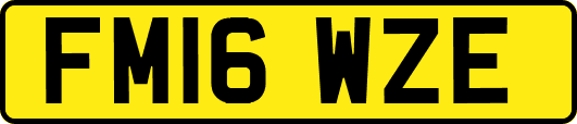 FM16WZE