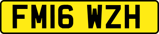 FM16WZH