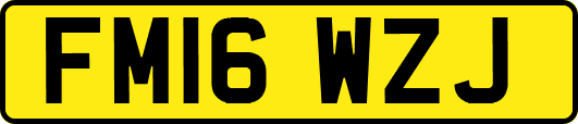 FM16WZJ
