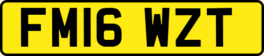 FM16WZT