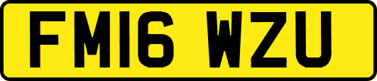FM16WZU