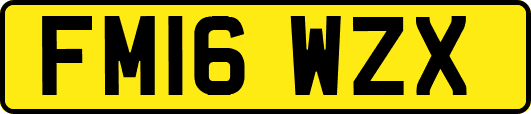 FM16WZX