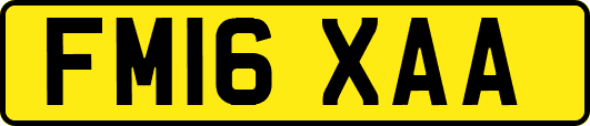 FM16XAA