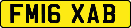 FM16XAB