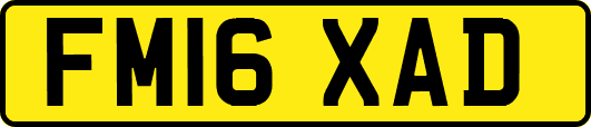 FM16XAD
