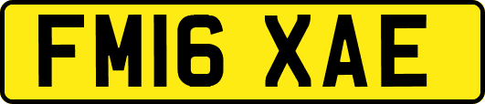 FM16XAE