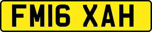 FM16XAH