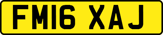 FM16XAJ