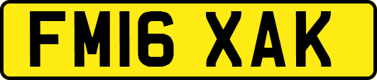 FM16XAK